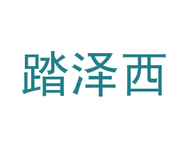 踏泽西 第25类服装鞋帽商标图样