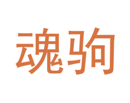魂驹 第25类服装鞋帽商标图样