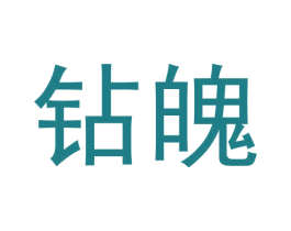 钻魄 第25类服装鞋帽商标图样