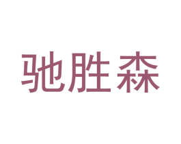 驰胜森 第25类服装鞋帽商标图样