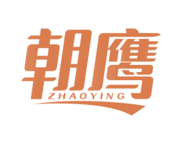 朝鹰 第10类医疗器械商标图样