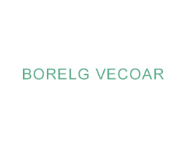BORELG VECOAR 第18类皮革箱包商标图样