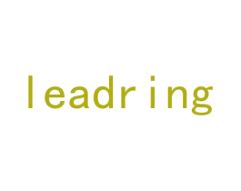 LEADRING 第6类五金金属商标图样