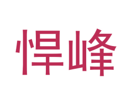 悍峰 第27类地毯席垫商标图样