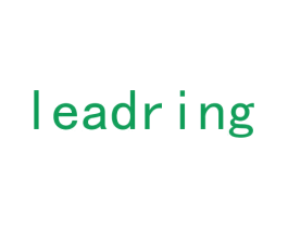 LEADRING 第27类地毯席垫商标图样