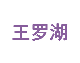 王罗湖 第9类科学仪器商标图样