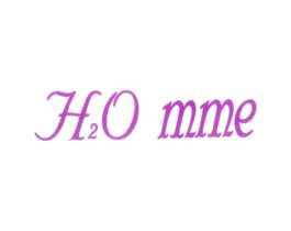 H2O MME 第3类化妆品商标图样