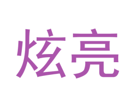 炫亮 第18类皮革箱包商标图样