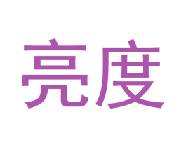 亮度 第14类珠宝钟表商标图样