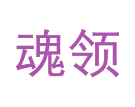 魂领 第33类酒商标图样