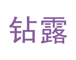 钻露 第30类小食配料商标图样