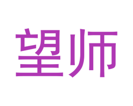 望师 第30类小食配料商标图样