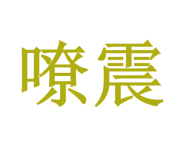 嘹震 第9类科学仪器商标图样