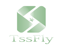 TSSFIY 第25类服装鞋帽商标图样