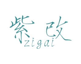 紫改 第25类服装鞋帽商标图样