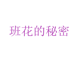 班花的秘密 第25类服装鞋帽商标图样