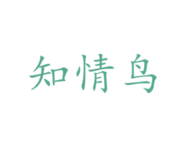 知情鸟 第25类服装鞋帽商标图样