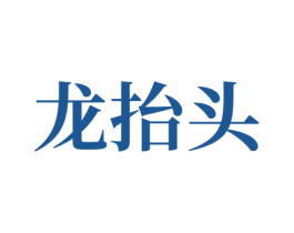 龙抬头 第42类技术服务商标图样