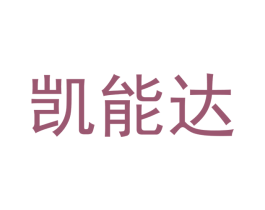 凯能达 第42类技术服务商标图样