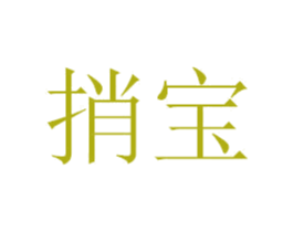 捎宝 第39类运输旅行商标图样
