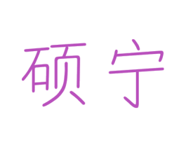 硕宁 第21类厨房洁具商标图样