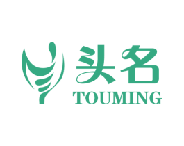 头名 第20类家具商标图样