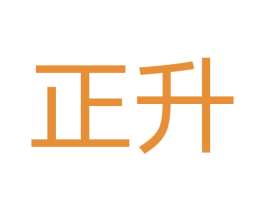正升 第18类皮革箱包商标图样