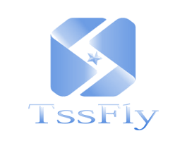 TSSFIY 第18类皮革箱包商标图样