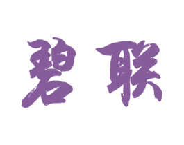 碧联 第18类皮革箱包商标图样