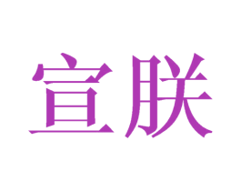 宣朕 第16类办公工具商标图样
