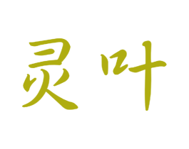 灵叶 第12类运输工具商标图样