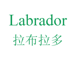 拉布拉多 LABRADOR 第11类家用电器商标图样