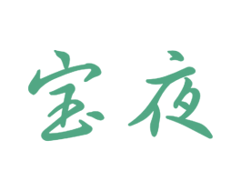 宝夜 第11类家用电器商标图样