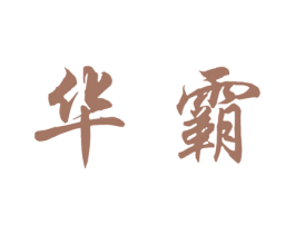 华霸 第10类医疗器械商标图样