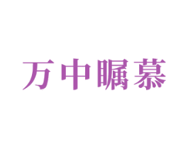 万中瞩慕 第9类科学仪器商标图样