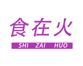 食在火 第9类科学仪器商标图样