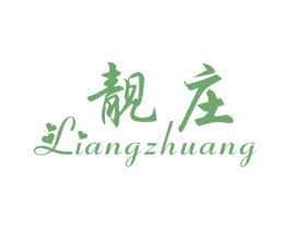 靓庄 第9类科学仪器商标图样