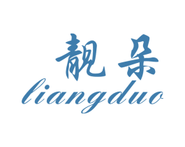 靓朵 第9类科学仪器商标图样