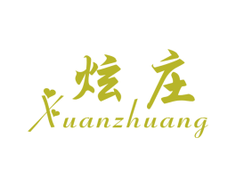 炫庄 第9类科学仪器商标图样