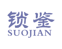 锁鉴 第9类科学仪器商标图样