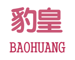 豹皇 第9类科学仪器商标图样
