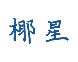 椰星 第9类科学仪器商标图样