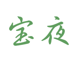 宝夜 第9类科学仪器商标图样