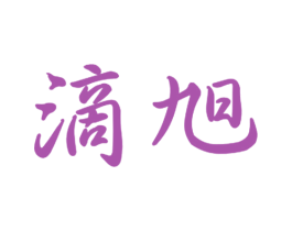 滴旭 第9类科学仪器商标图样