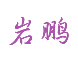 岩鹏 第9类科学仪器商标图样