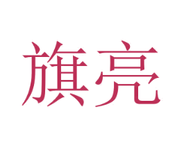 旗亮 第9类科学仪器商标图样