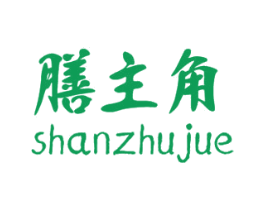 膳主角 第5类医药商标图样