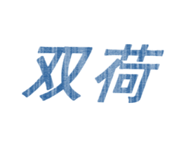 双荷 第3类化妆品商标图样