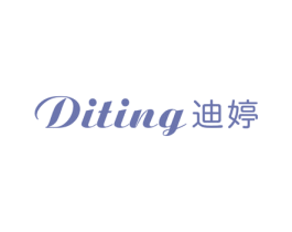 迪婷 第25类服装鞋帽商标图样