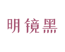 明镜黑 第21类厨房洁具商标图样